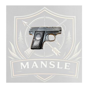 Image du produit