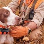 Collier_GPS_Garmin_avis_sur_les_modeles_recents_chasse_480x480